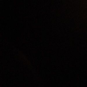 Meet your Posher, Ollie